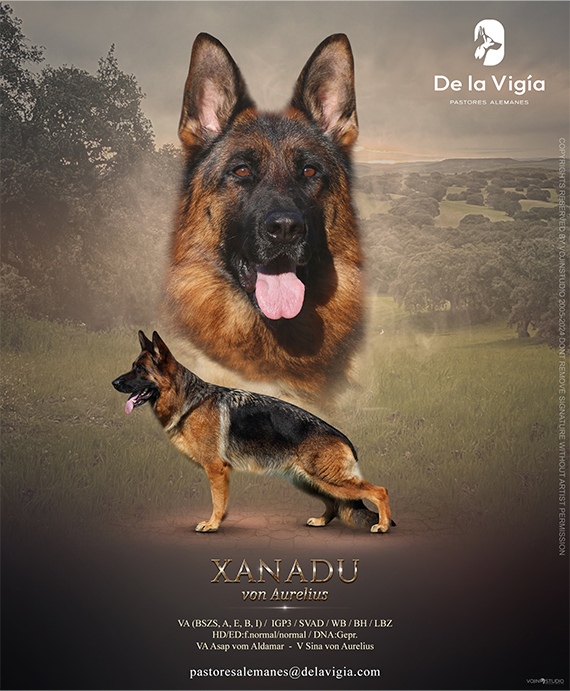 Cartel oficial Xanadu Von Aurelius