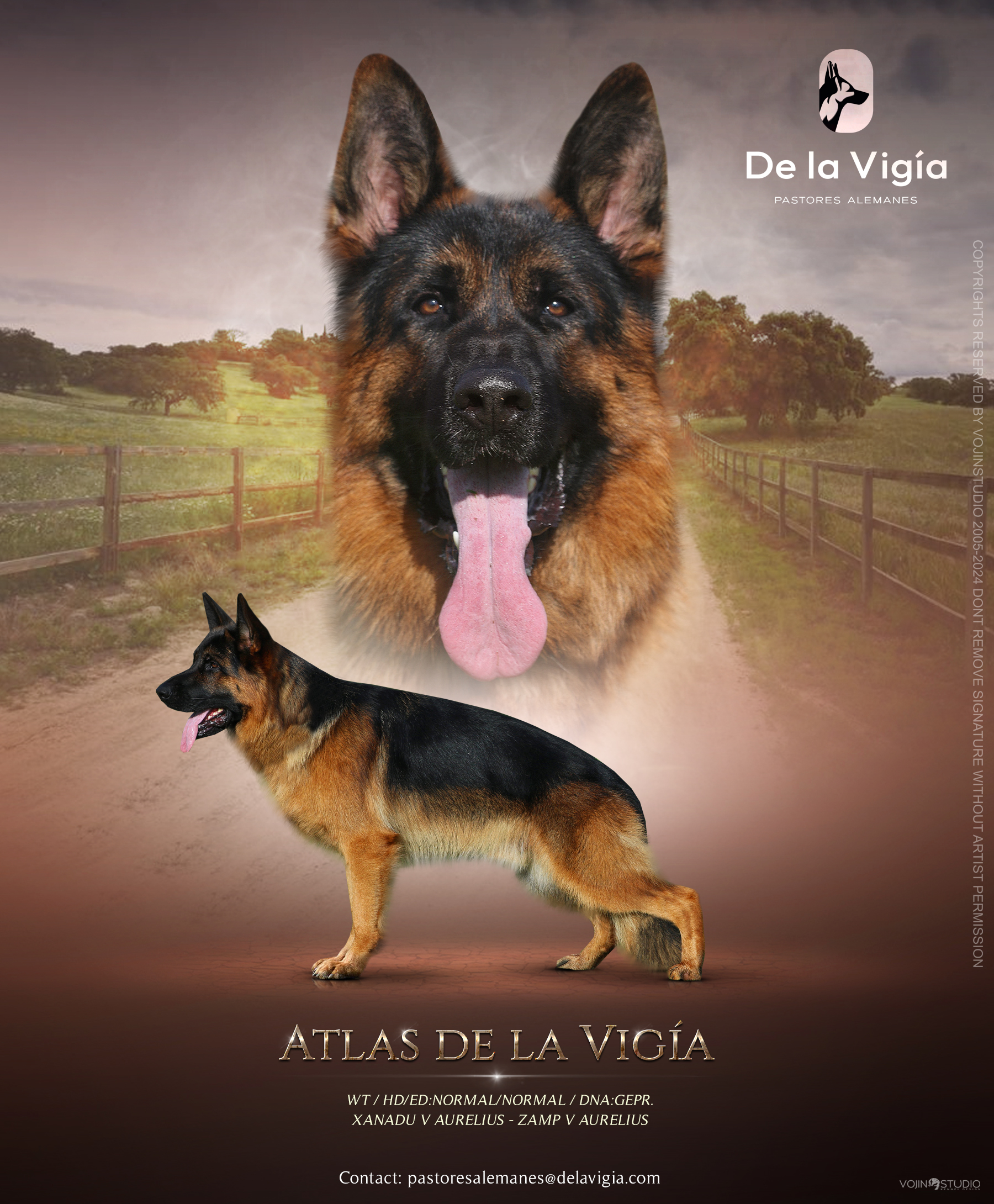 Poster oficial de Atlas de la vigia